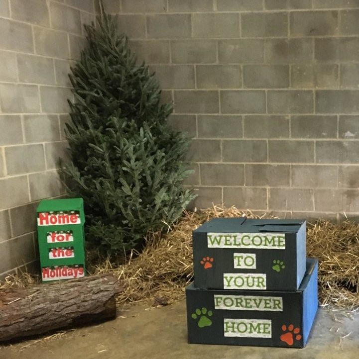 Keeper Tessa’s Blog 11/22/19