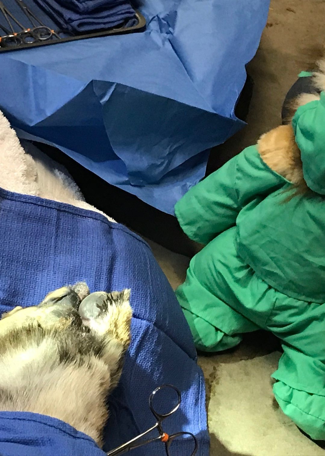 Dr. Hunter’s Blog 3/5/19