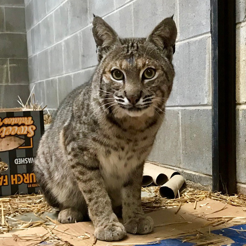 Keeper Tessa’s Blog 4/3/19