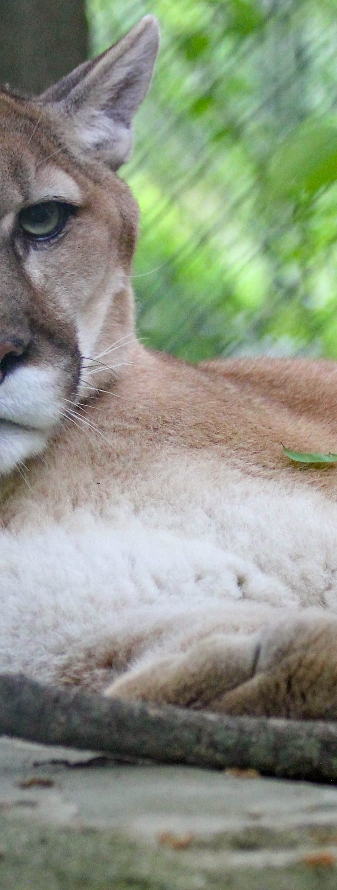 Dr. Hunter’s Blog 6/10/19