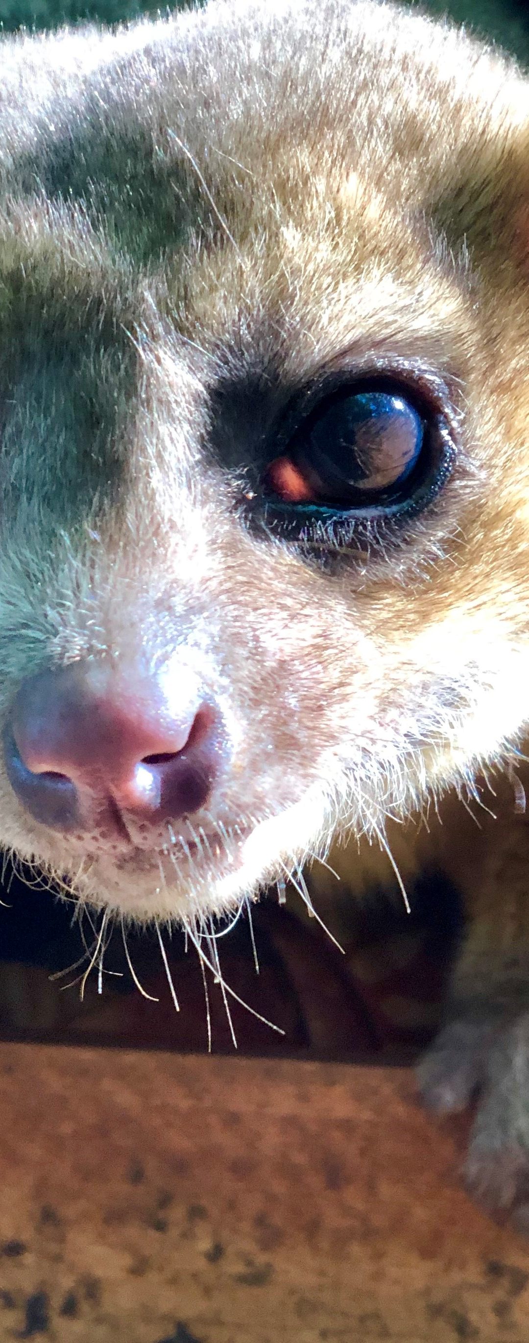 Dr. Wilde’s Blog 3/25/20
