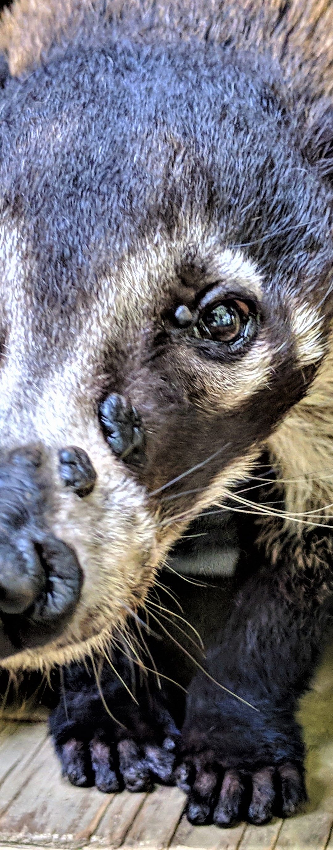 Dr. Wilde’s Blog 6/14/19
