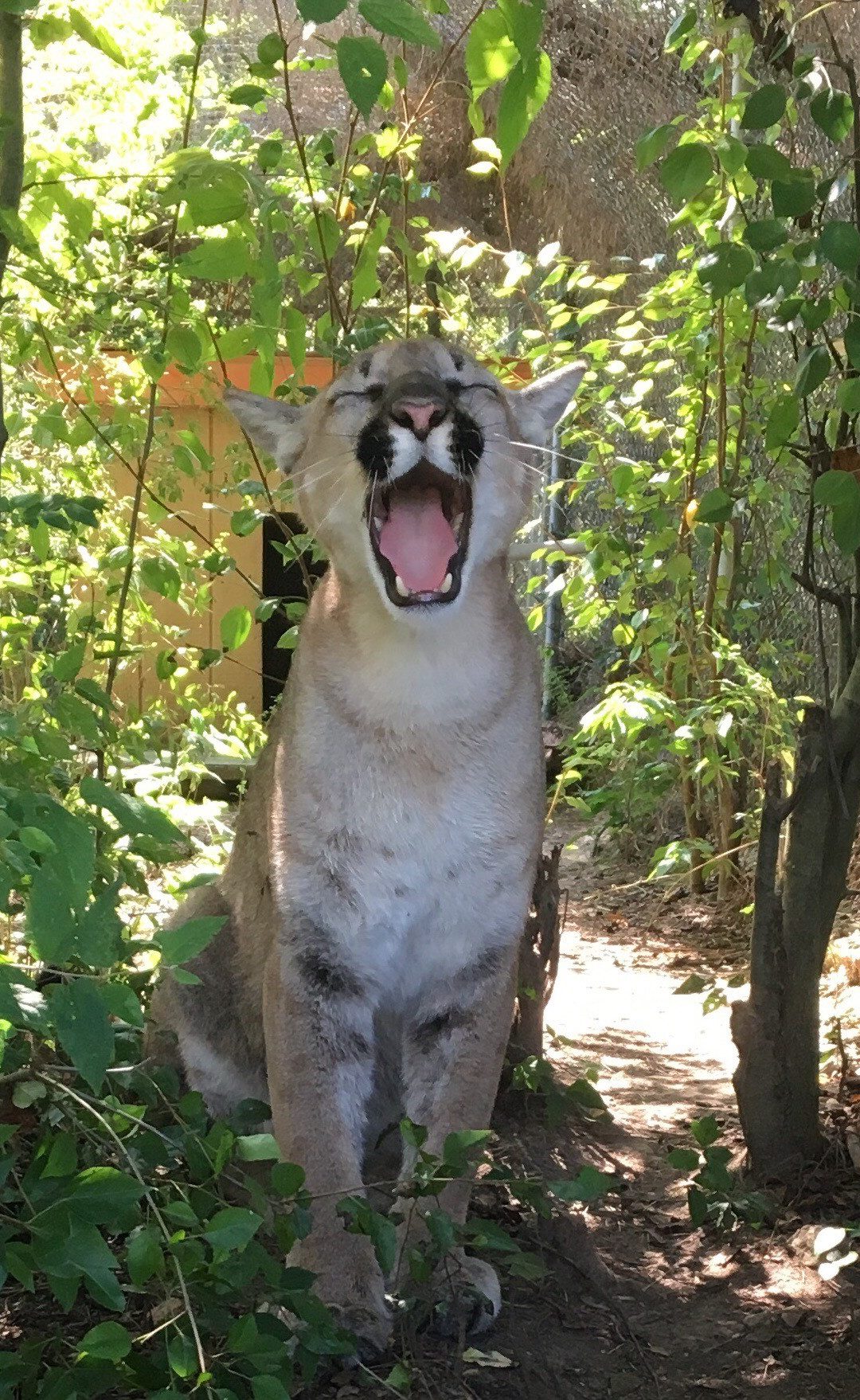 Keeper Tessa’s Blog 8/1/19