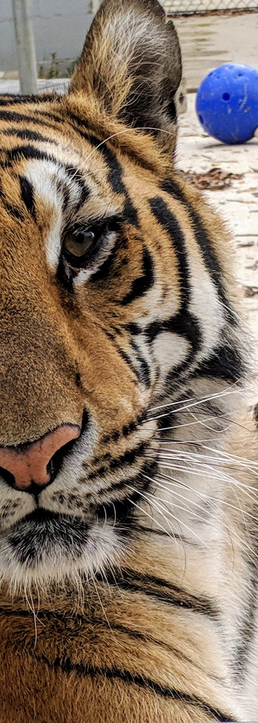 Keeper Tessa’s Blog 9/12/19