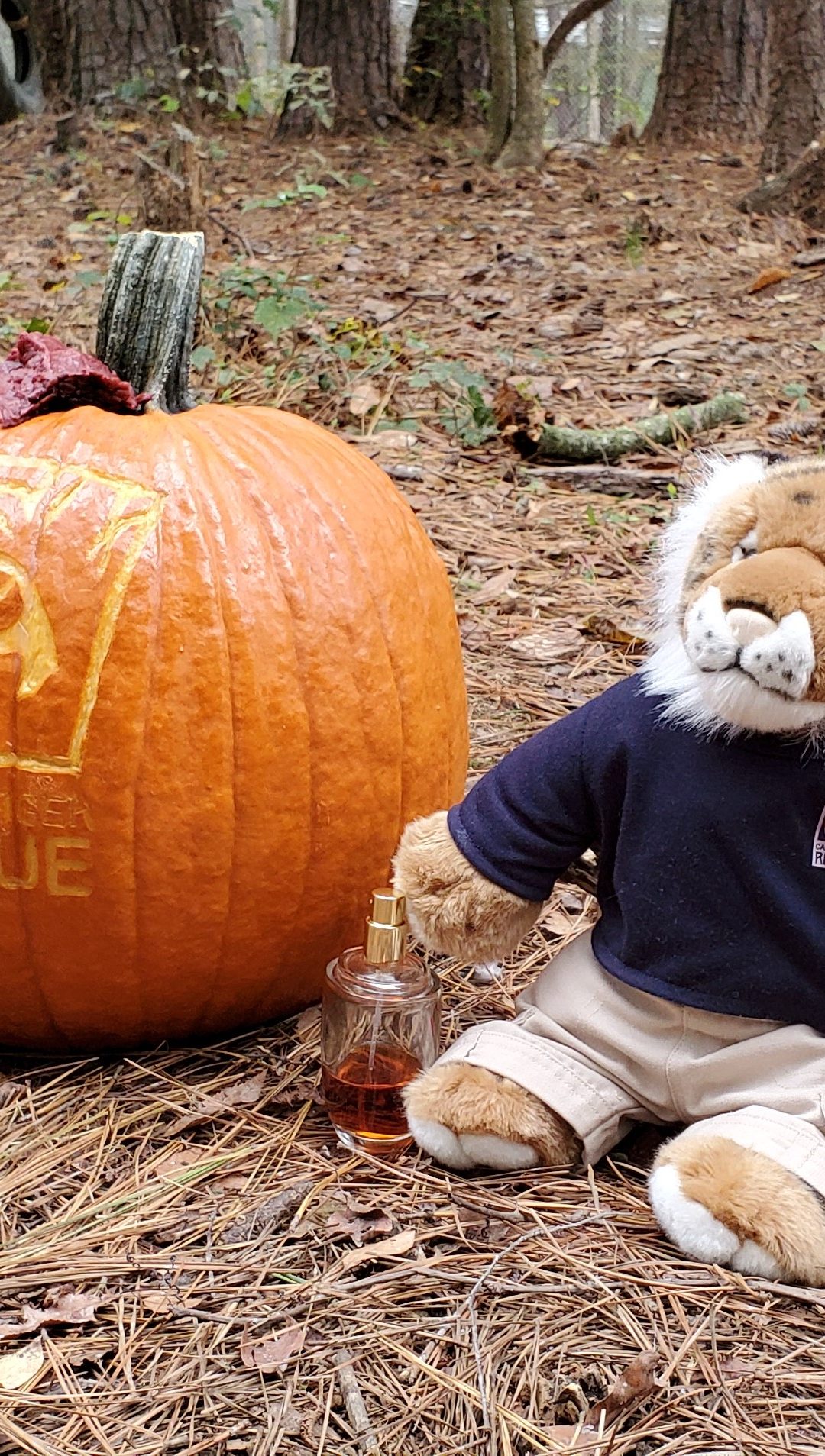 Keeper Tessa’s Blog 10/31/19
