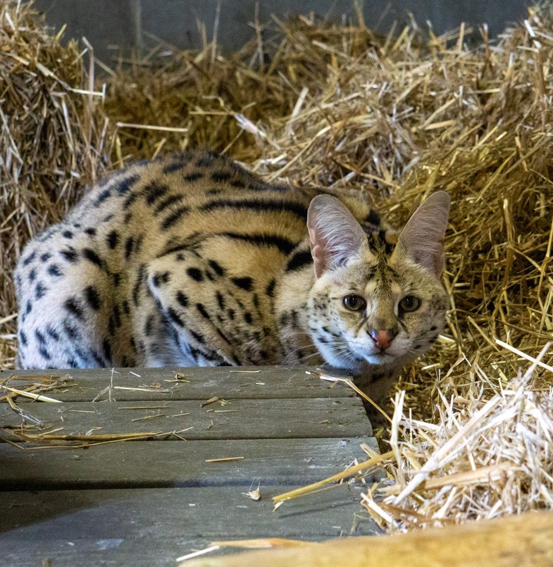 Keeper Tessa’s Blog 3/9/20