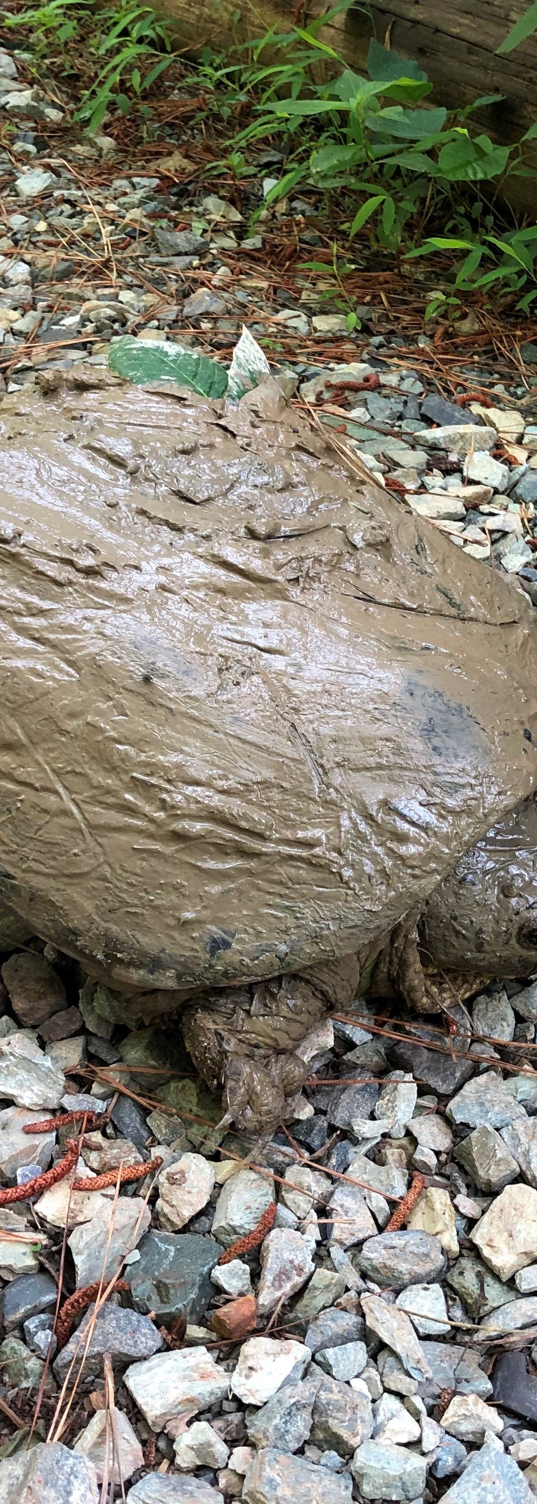 Dr. Wilde’s Blog 5/24/19