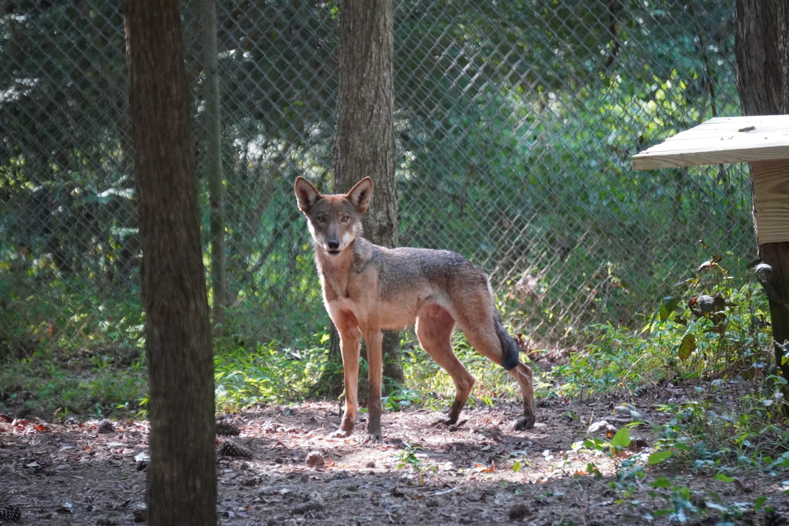 Learn more about the conservation work we support