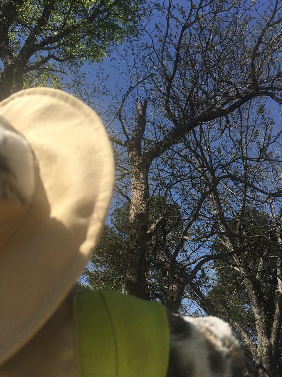 Dr. Wilde’s Blog 4/15/19