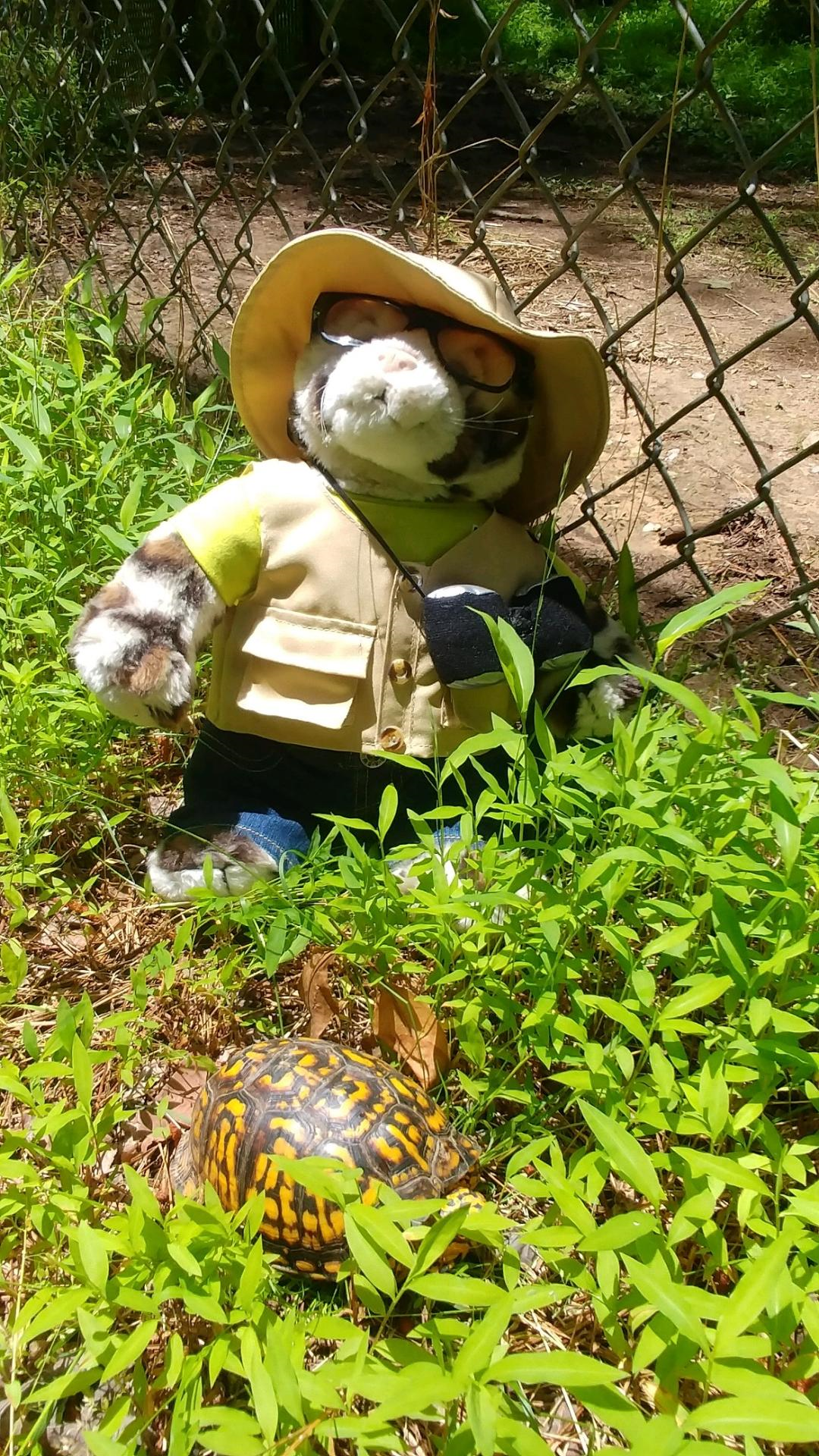 Dr. Wilde’s Blog 5/3/19