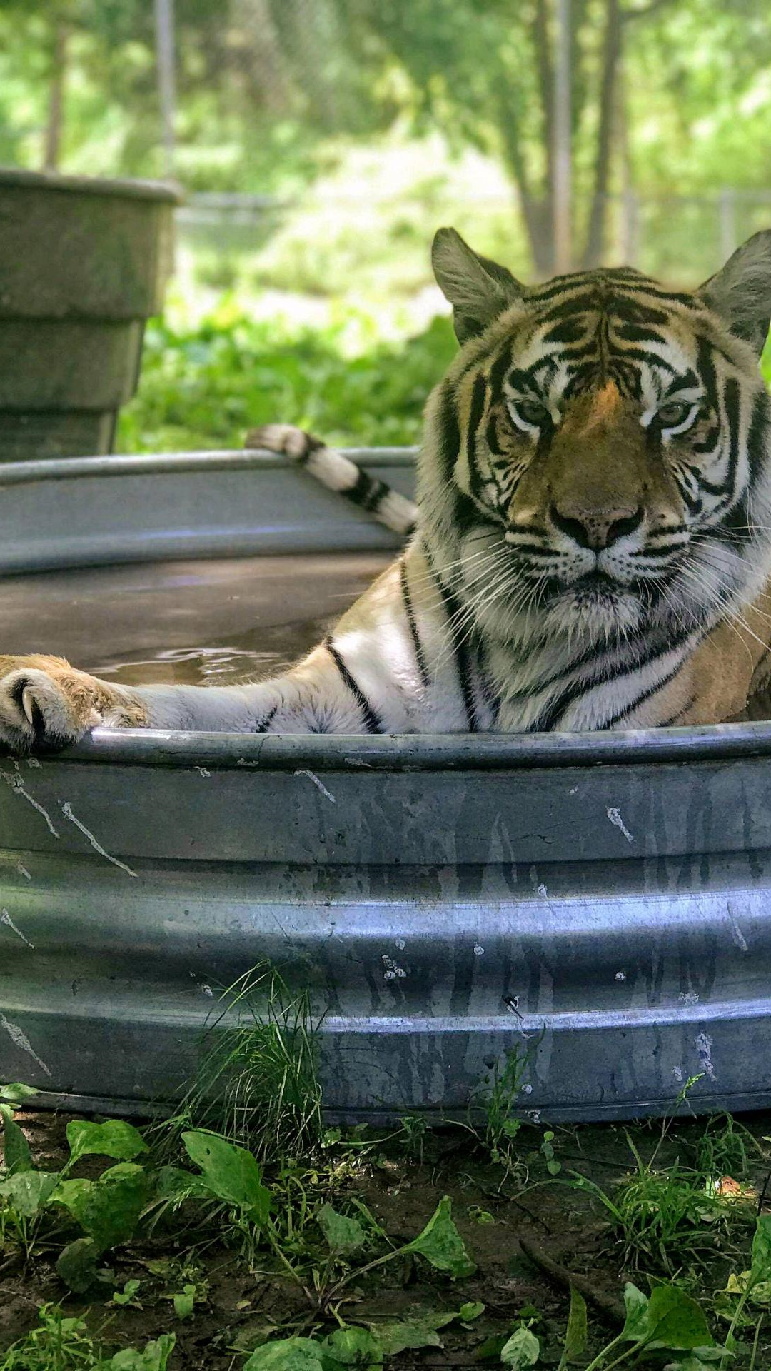 Keeper Tessa’s Blog 5/5/19