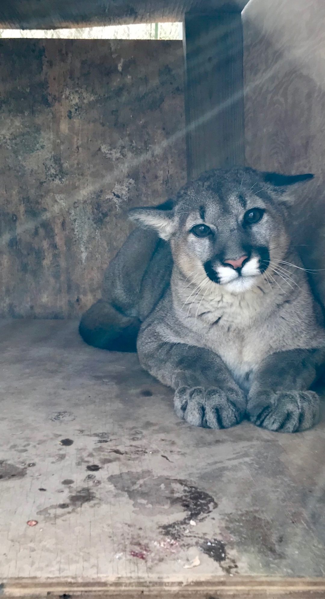 Keeper Tessa’s Blog 3/13/19