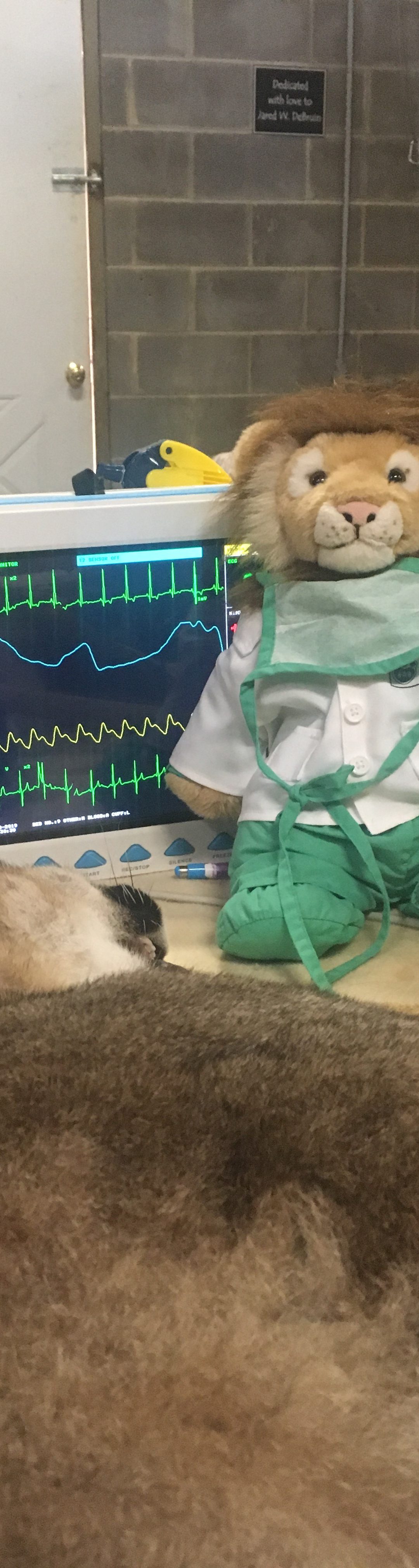 Dr. Hunter’s Blog 2/8/19