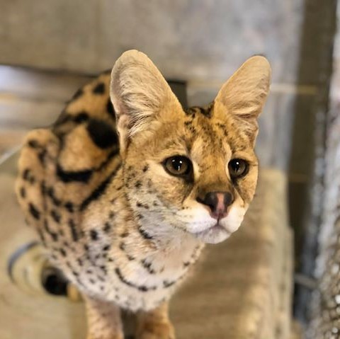 Keeper Tessa’s Blog 11/28/19