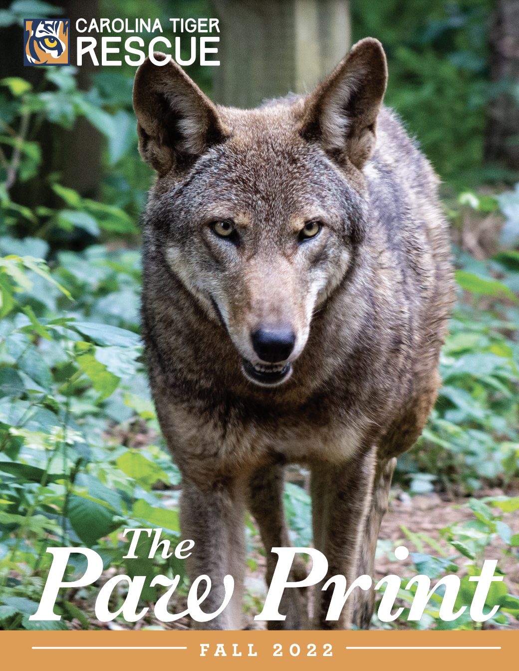 Fall 2016 Paw Print