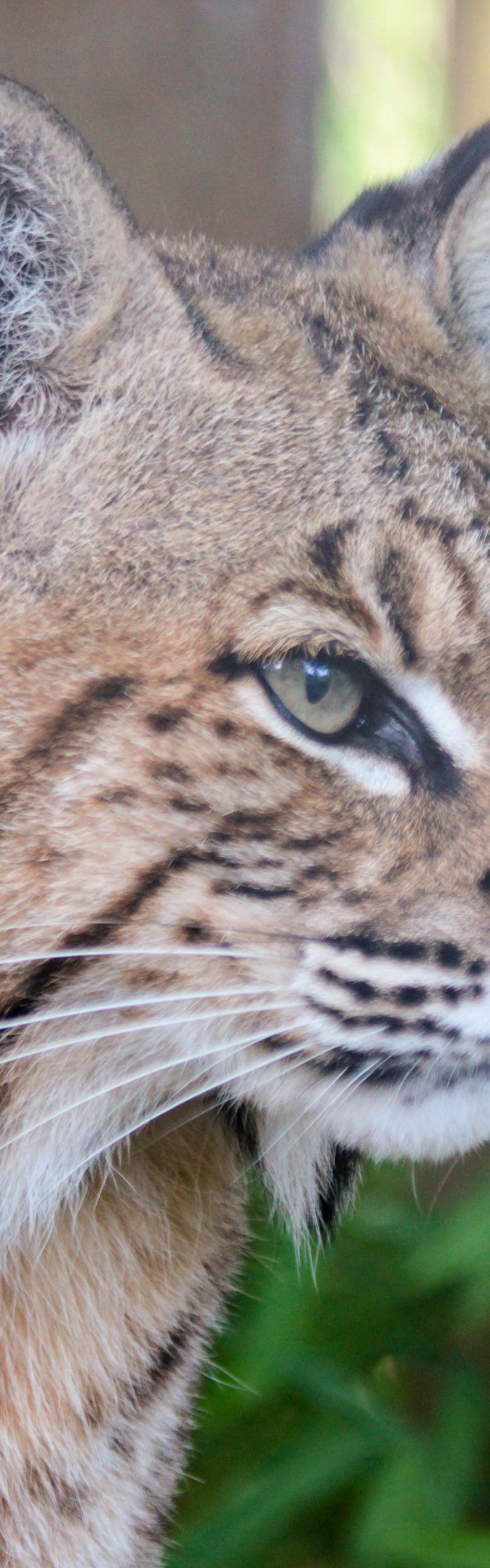 Keeper Tessa’s Blog 7/15/19
