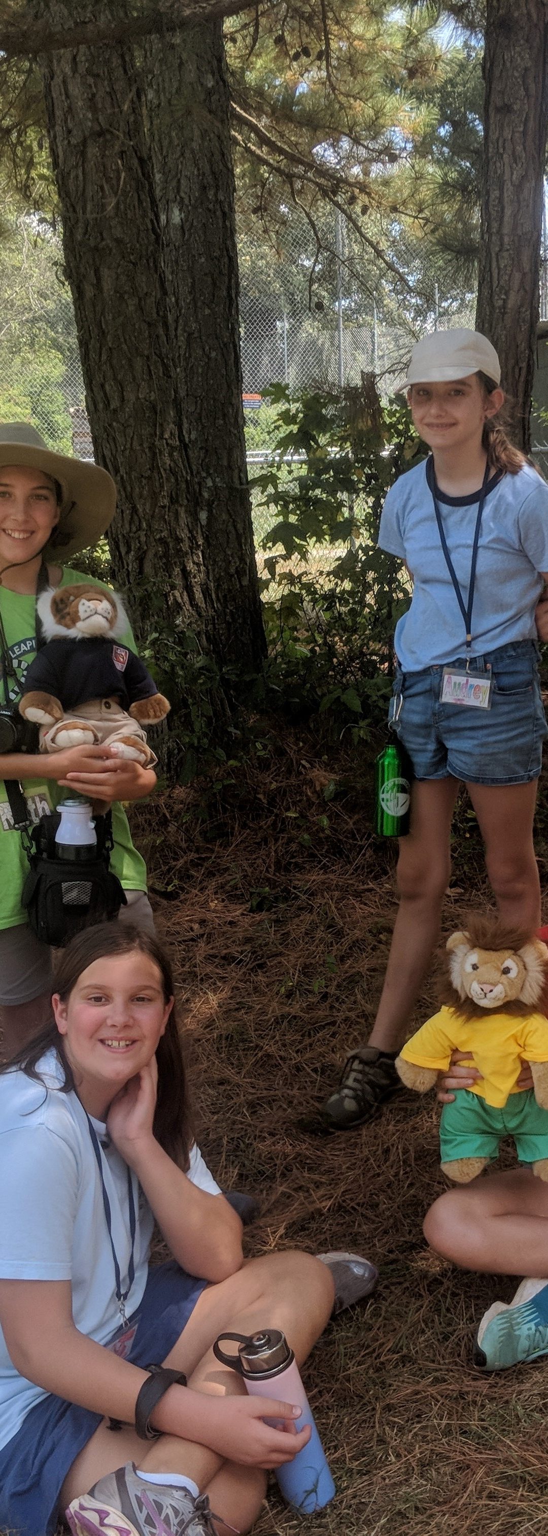 Dr. Wilde’s Blog 7/26/19