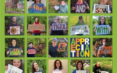 Our 2019-2020 Volunteers of the Year