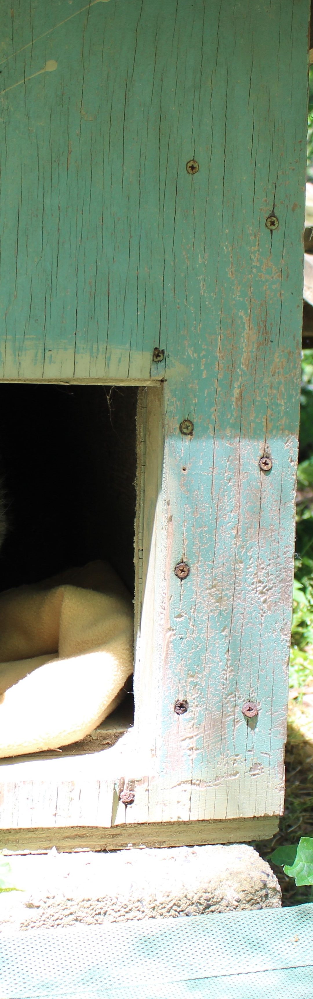 Keeper Tessa’s Blog 5/2/19