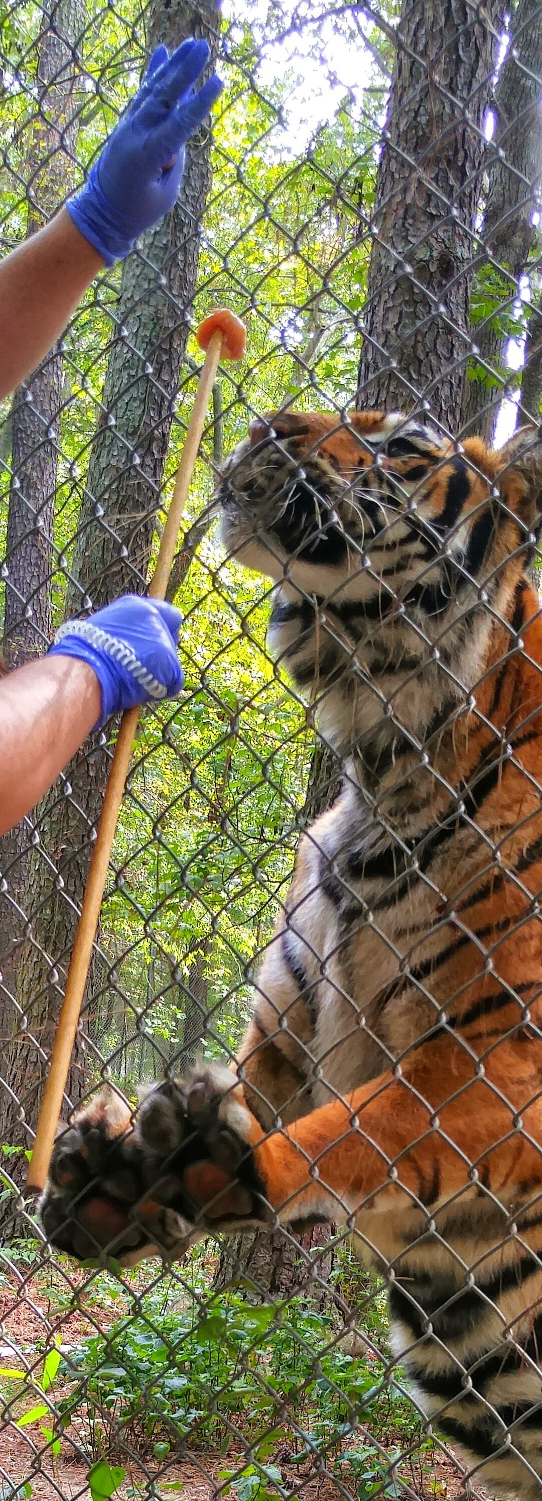 Dr. Hunter’s Blog 5/5/20