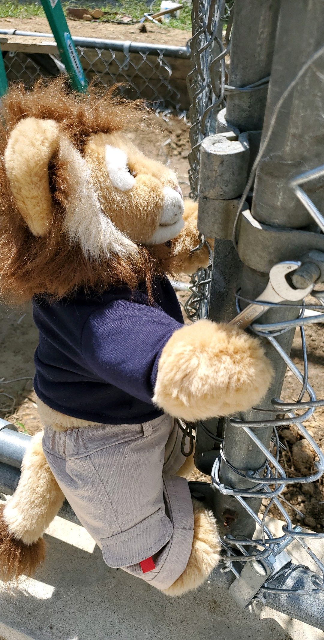 Dr. Hunter’s Blog 8/22/19