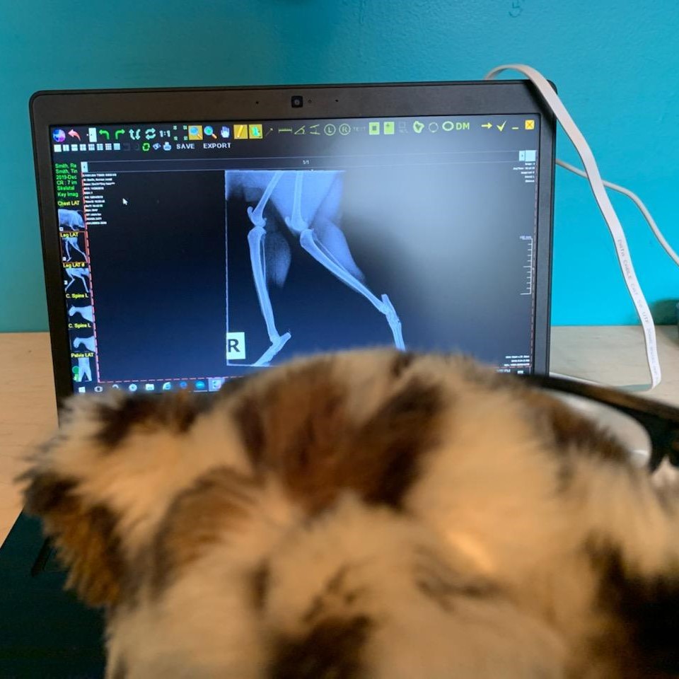 Dr. Wilde’s Blog 12/13/19