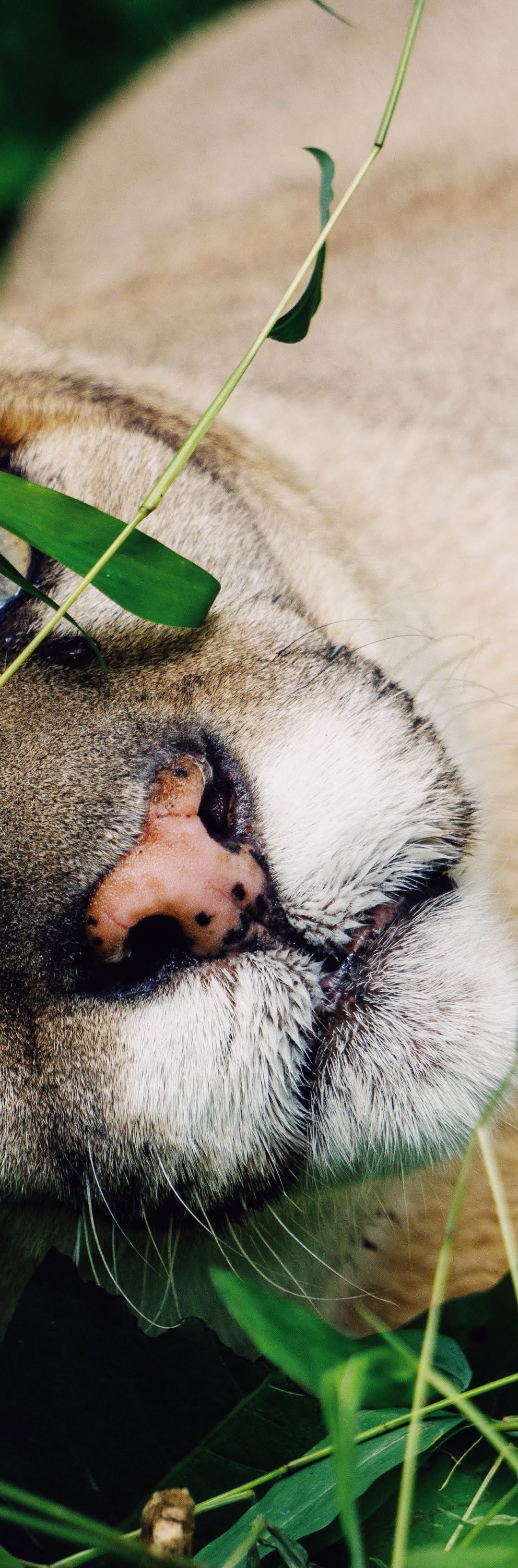 Dr. Hunter’s Blog 7/13/20