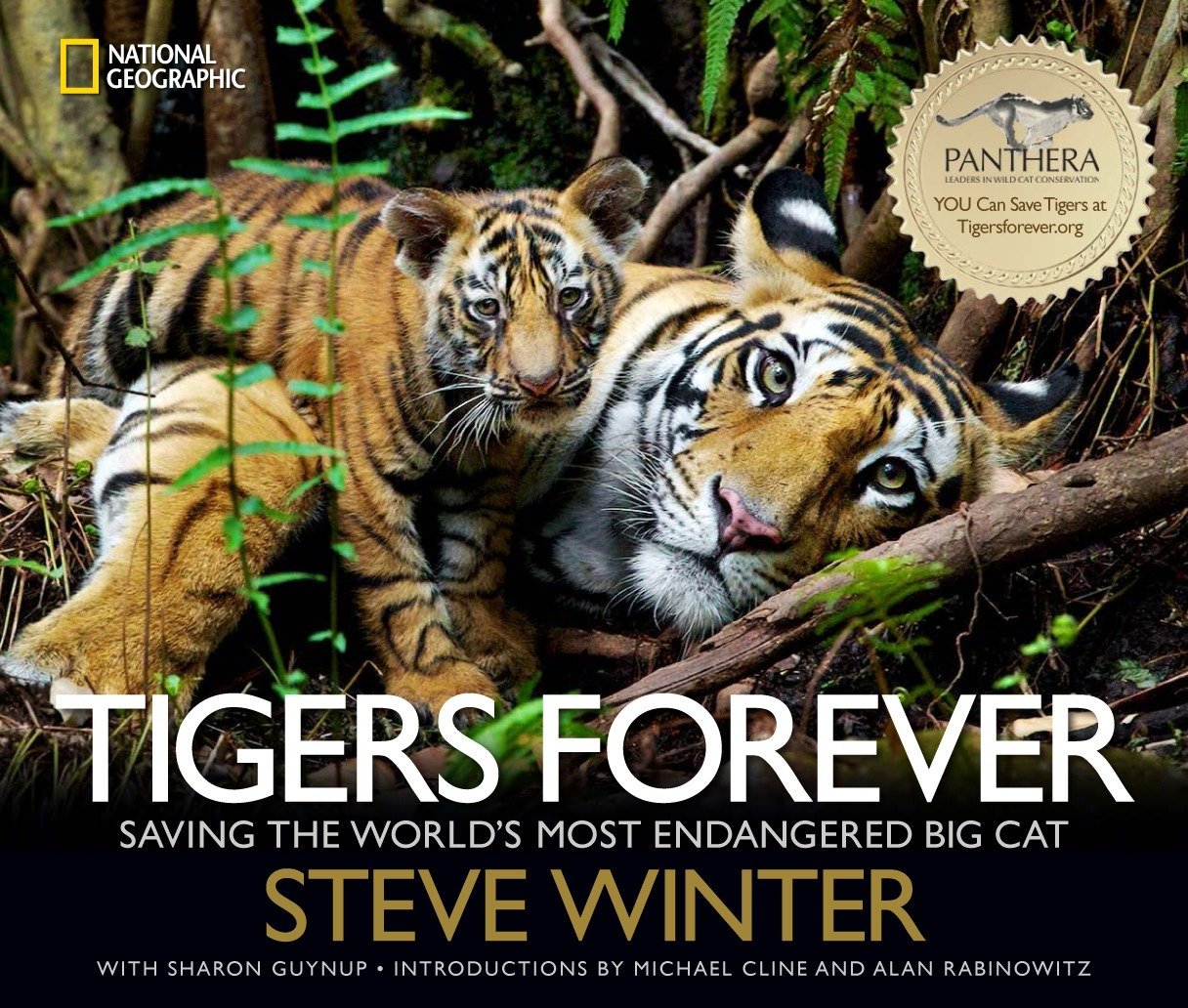 Tigers Forever by: Steve Winter