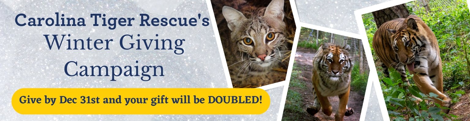 Tasha Tiger wants you to Donate to the CTR