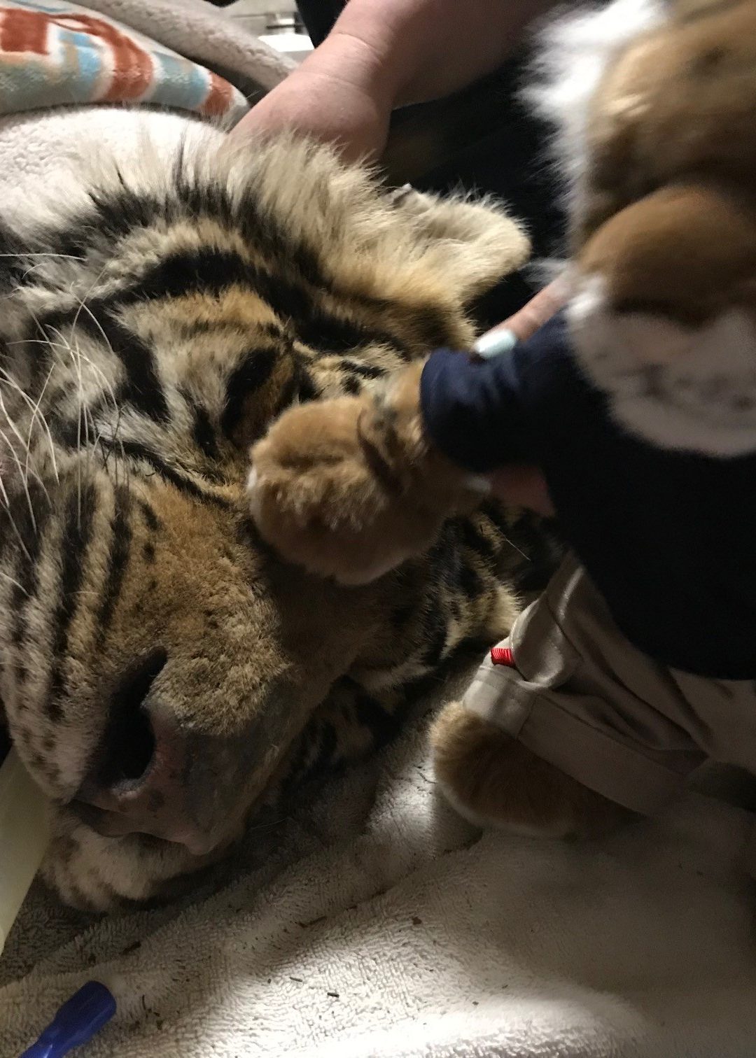 Keeper Tessa’s Blog 3/5/19